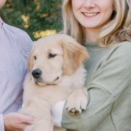 Golden Retriever Puppies from OPK Goldens