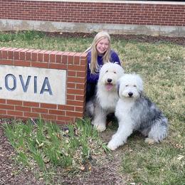 Old English Sheepdog Puppies from Heavinly Blessings Farm Pups - Old English Sheepdog Puppies