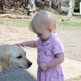 Kali - Yellow female Labrador Retriever puppy in Tomahawk, Wisconsin from Mahner Labs