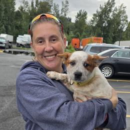 L66-08 - Red mottled male Australian Cattle Dog puppy in Sheridan, Oregon from 6pk Cattledogs