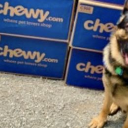 German Shepherds from Fidelis Kennels
