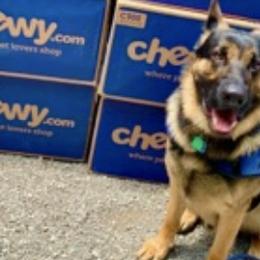 German Shepherds from Fidelis Kennels