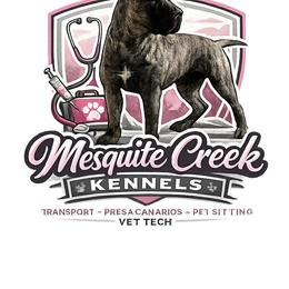 Perro de Presa Canario Puppies from Mesquite Creek Kennels