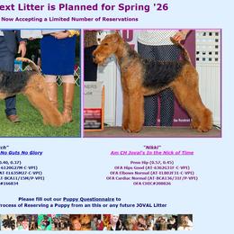 Airedale Terrier puppies from JOVAL Kennel