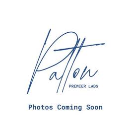 Labrador Retriever puppies from Patton Premier Labs