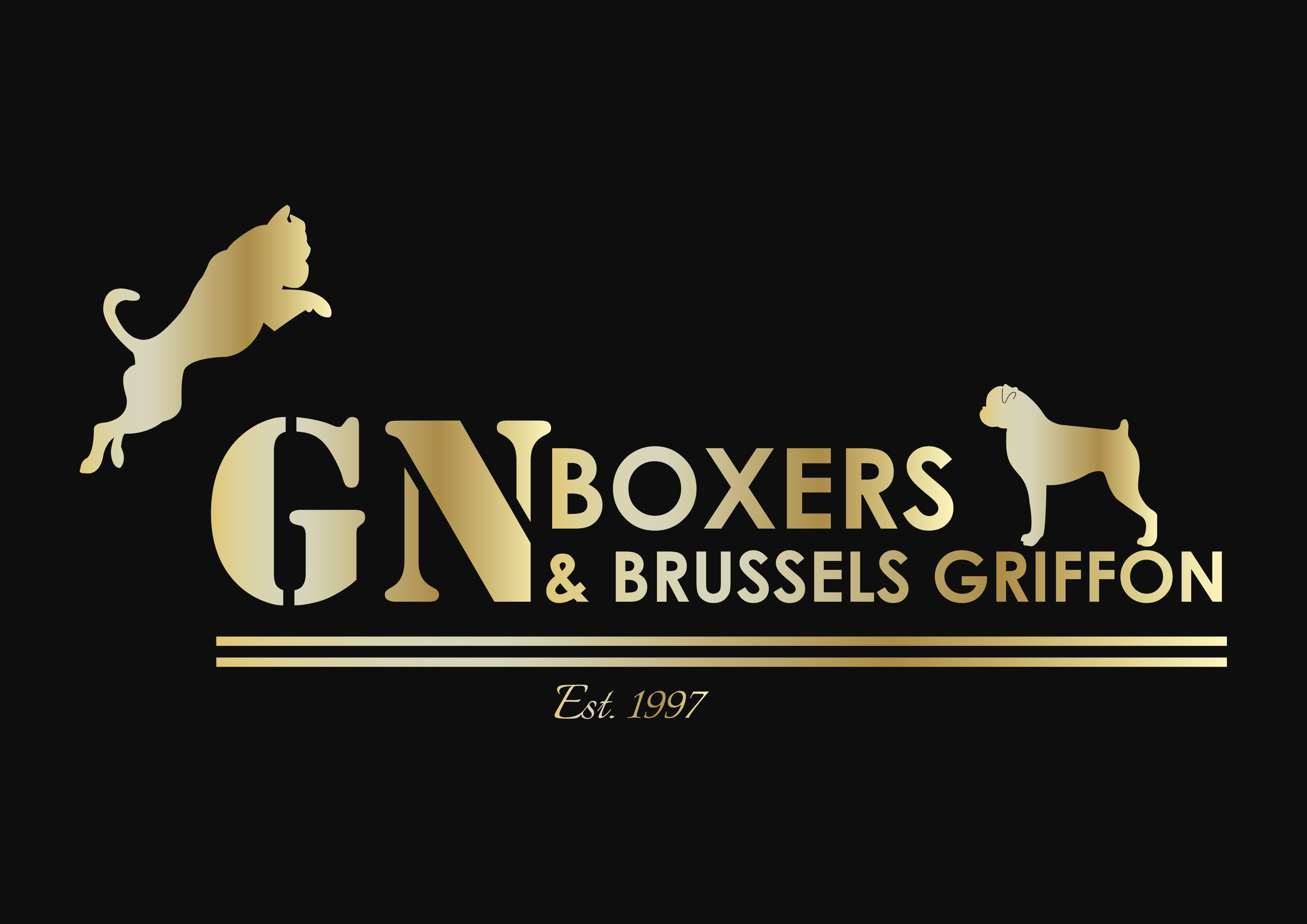 Boxers and Brussels Griffons from GN Canine Crew