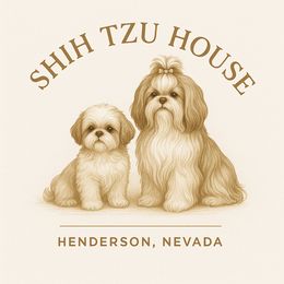 Shih Tzu Puppies from Shih Tzu House