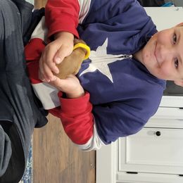 Cavapoo Puppies from Prince Pups