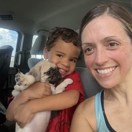 Pug Puppies from 901 Pugs