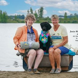 Portuguese Water Dog All Grown Up from HiBisKiss