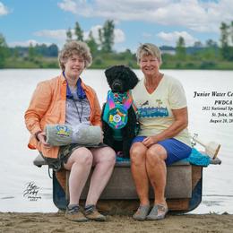 Portuguese Water Dog All Grown Up from HiBisKiss