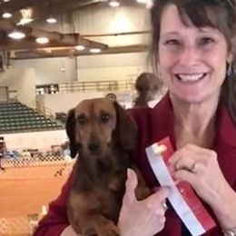 Dachshunds from Caldwell's Dachshunds