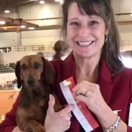 Dachshunds from Caldwell's Dachshunds