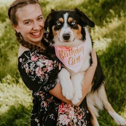 Maple - Australian Shepherd