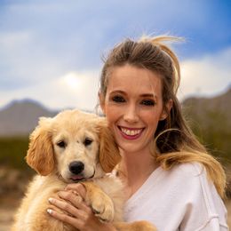 Golden Retriever Puppies from Top Gun Golden Retrievers