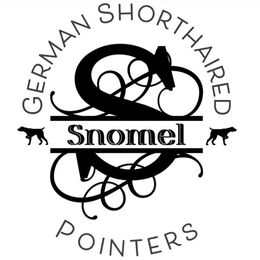 German Shorthaired Pointers from Snomel kennels