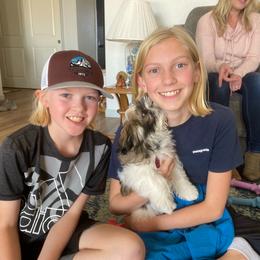 Shih Tzu Puppies from Willow Lane Shih Tzus