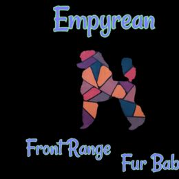 Poodles from Empyrean Front Range Fur Babies