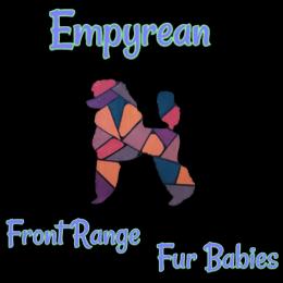 Poodles from Empyrean Front Range Fur Babies