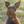 Unnamed