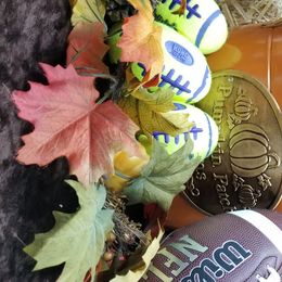 Golden Retriever Puppies from SUN-GOLDEN KENNELS