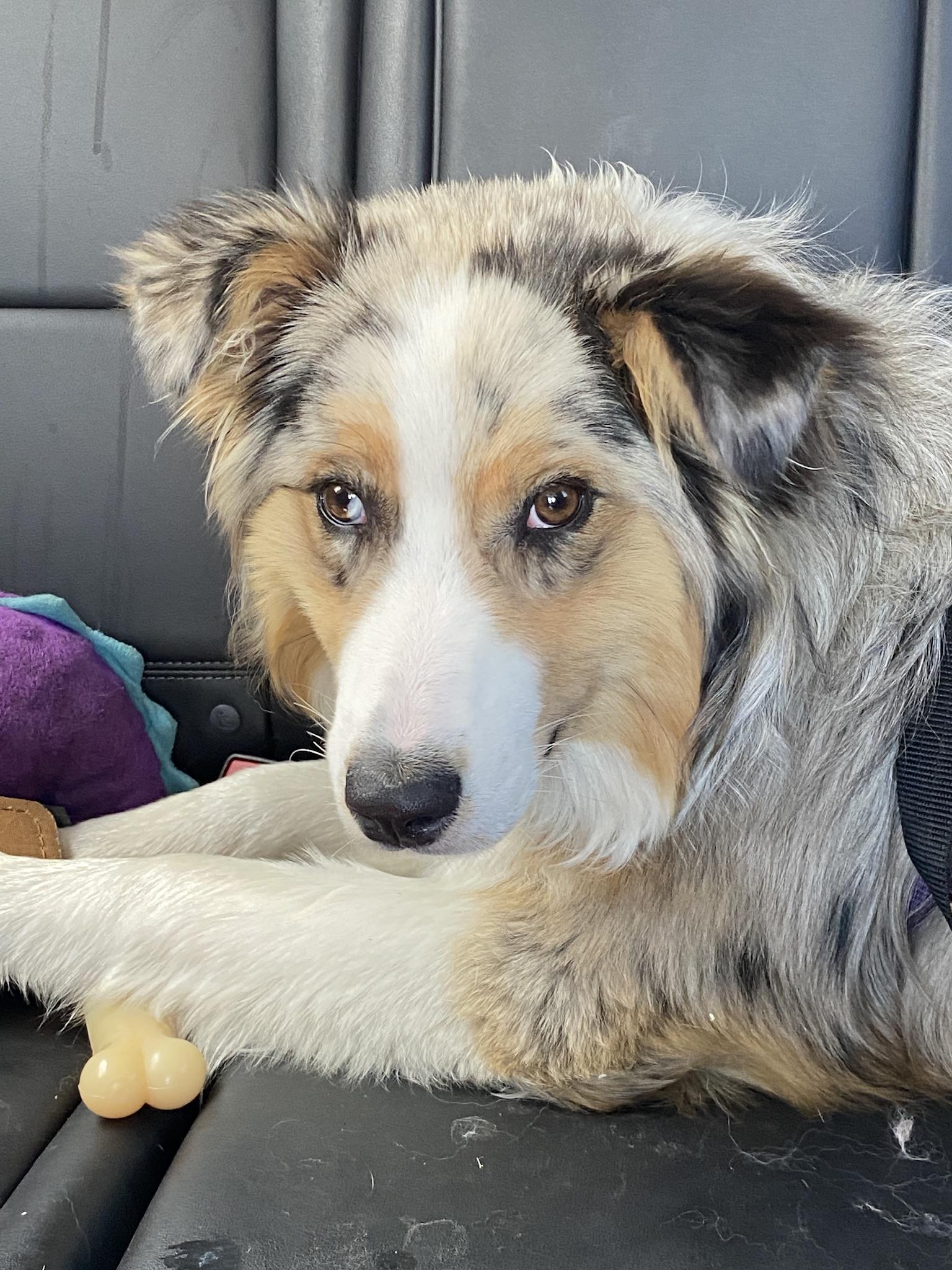 Ellie