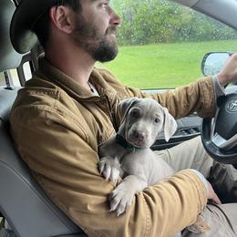 Catahoula Leopard Dog Puppies from Sheepcote Farm Catahoula’s