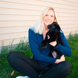 German Shepherd Puppies from German Shepherds Vom Der Goldstadt