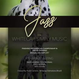 Jazz - Dalmatian