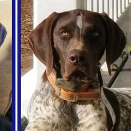 German Shorthaired Pointers from Minter Farm & Kennels