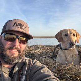 Doja - Labrador Retriever