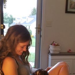 English Springer Spaniel Puppies from RoseMarie James Springer Spaniels