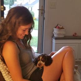 English Springer Spaniel Puppies from RoseMarie James Springer Spaniels