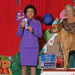 Affenpinschers and Rhodesian Ridgebacks from Tamari Affenpinchers and Oakhurst Rhodesians