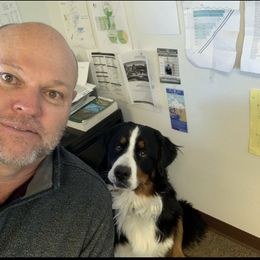 Bernese Mountain Dog Puppies from Lonesome Pine Farm