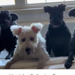 Pumik from Catherine Medina-DeVilliers