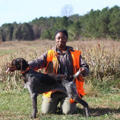 German Wirehaired Pointer puppies from Cypress Ridge GWP