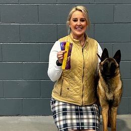 Belgian Malinois and Dachshunds from Paws Laws k9