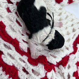 Goldendoodle and Poodle Puppies from Trammell’s Southern Pups