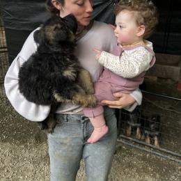German Shepherd puppies from German Shepherds Von Washington