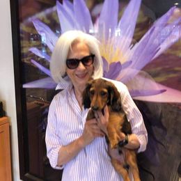 Dachshund Puppies from Windy Ridge Miniatures