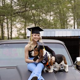 Basset Hound All Grown Up from Snellgrove Farms