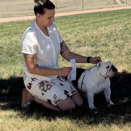 Bulldog and French Bulldog All Grown Up from Double B Bulldogs