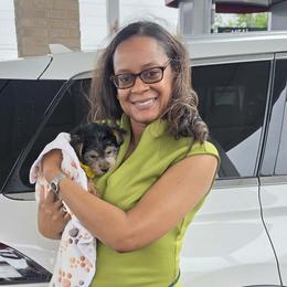 Yorkshire Terriers from Yorkie Pups of Bama
