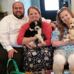 Sheepadoodle Puppies from Liberty Hill Sheepadoodles