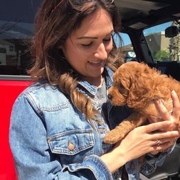 Goldendoodle Puppies from Doodle Bliss