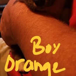 Pembroke Welsh Corgi Puppies from Susan's Corgi Kingdom