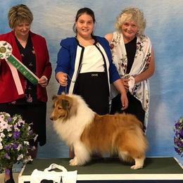 Shetland Sheepdogs from MiAmor Shetland Sheepdogs