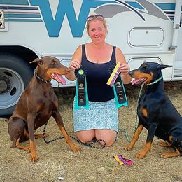 Doberman Pinscher All Grown Up from Day Hill Dobermans