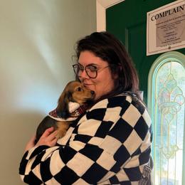 Winnie Gallardo for Krystal - Cream female Dachshund puppy in Irving, Texas from DFW Dachshunds by G & S